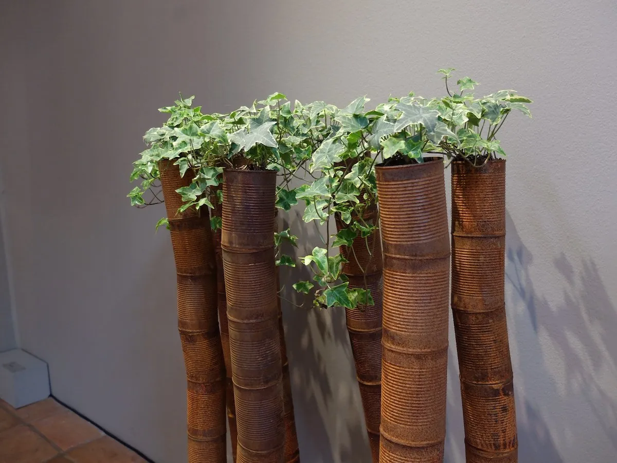 Rusty Can Ivy, 2010